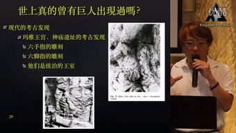涅法雷姆的名词释义