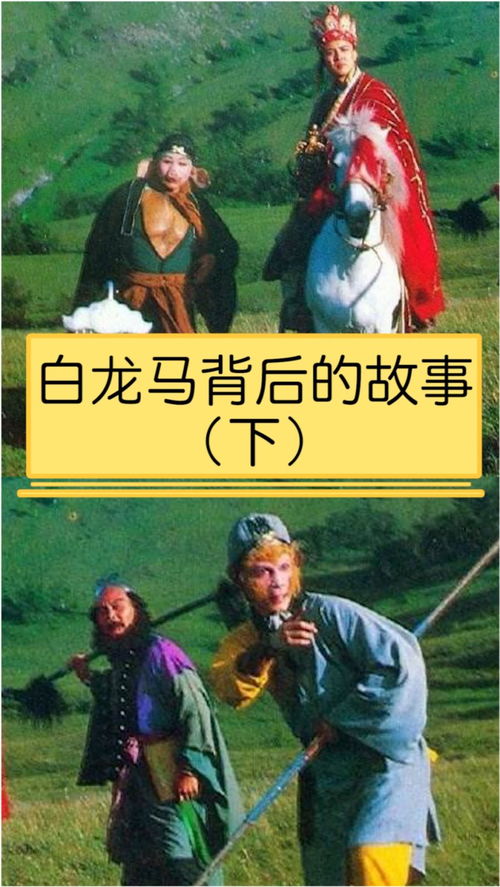 西游记中所有有关白龙马的情节和概括