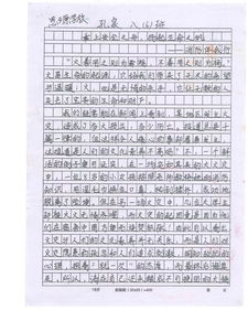 关于消防员的作文600字，关于消防员的作文800字