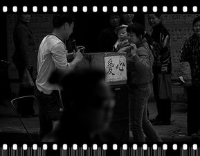 平凡的感动阅读理解，平凡的感动演讲稿幼儿教师
