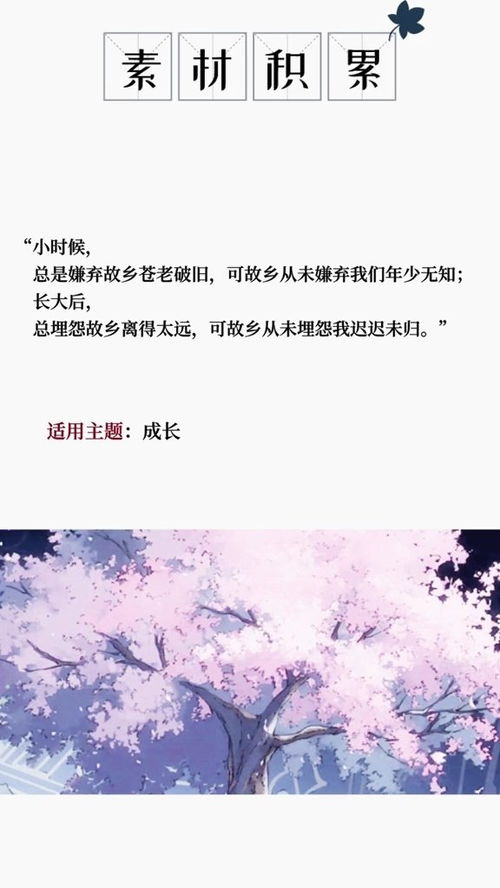 乡愁作文800字高中，乡愁作文500字初一