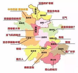 池州市户籍人口数