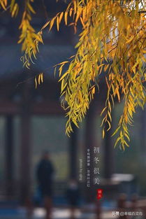 月光萧瑟是什么意思，秋风萧瑟洪波涌起的萧瑟是什么意思