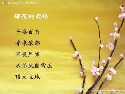 梅花魂的魂指一种精神我们还可以说什么魂什么魂什么，梅花魂的魂是什么意思?在文中指的是什么?