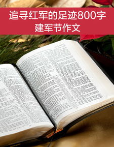 八一建军节作文500字精选10篇