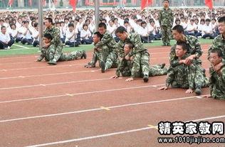 军训的心得体会800字，军训的心得体会500字作文初一