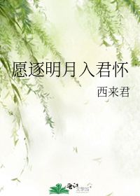 明月入君怀好看吗