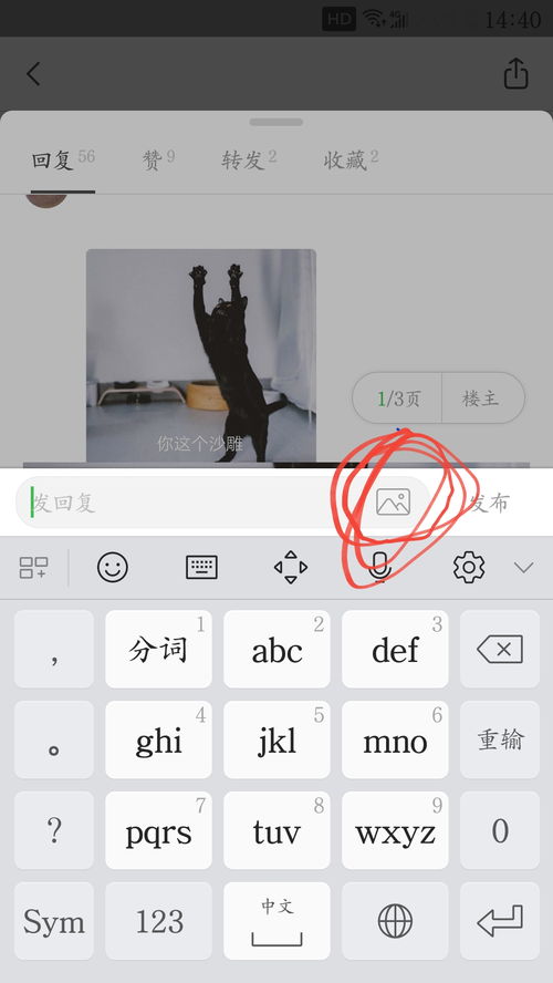 扛换木字旁能组什么词