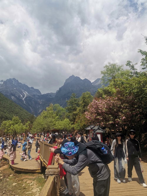丽江春季天气怎么样丽江几月份去最适合