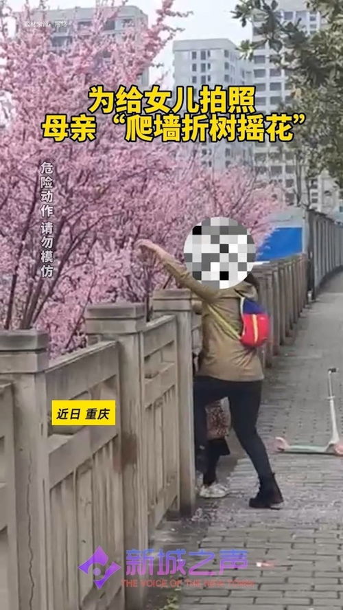 跳墩演奏曲课外阅读答案，跳墩演奏曲短文仿写