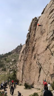 崖柏，崖山