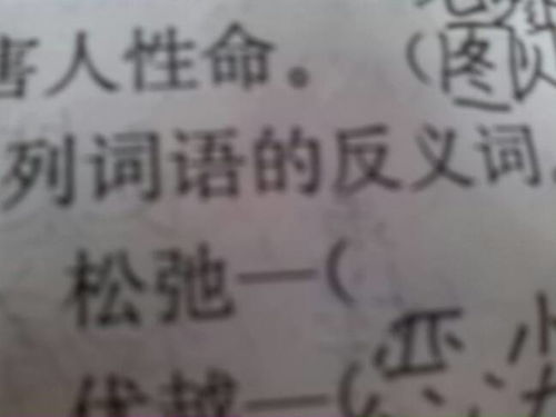 松散的反义词是