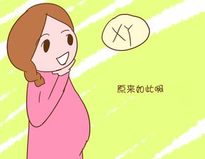 nut的俚语