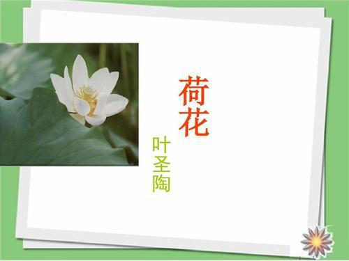 莲的组词是什么