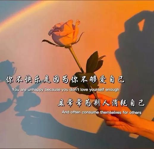 衣不如新人不如故全诗读法，衣不如新人不如故下一句