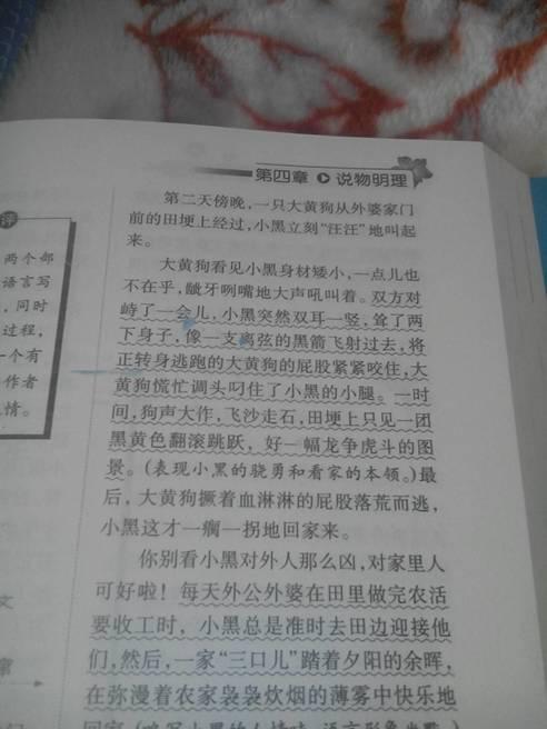 关于动物的作文400字左右