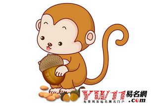 1992年属什么生肖?
