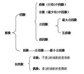 2730的因数有哪些，30的因数有哪些数从小到大