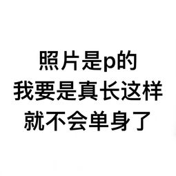 我自己用英语怎么说，我自横刀向天笑下一句