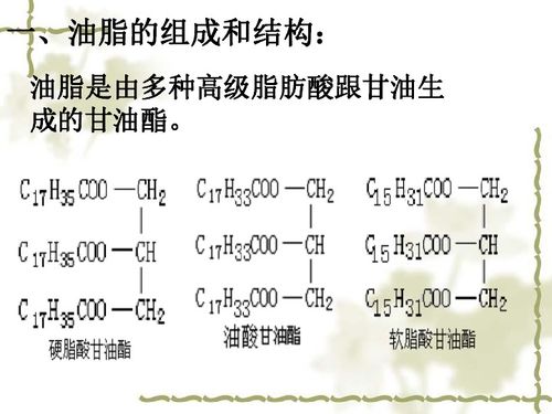 脂怎么读?