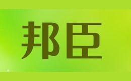 邦臣经颅磁刺激仪怎么样，邦臣经颅磁刺激仪是正规吗