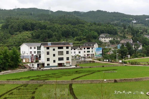 美丽乡村图片大全大图，长乐新览村美丽乡村图片