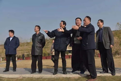 掘组词 有哪些