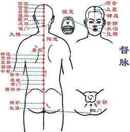 准确的近义词是什么 准确的近义词有哪些