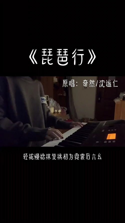 大弦嘈嘈如急雨,小弦切切如私语。嘈嘈切切错杂弹。什么意思?