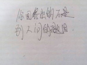 问非所答是成语吗?，非问非所答