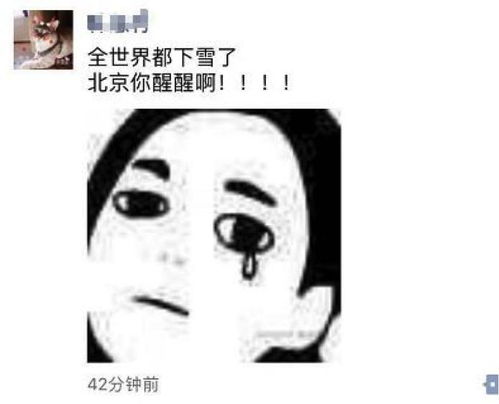 爱雪四门冰箱，爱雪制冰机