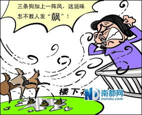 人有三急下一句幽默感，人有三急指的是哪三