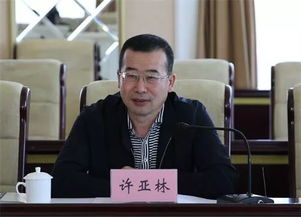 许亚军的个人资料，许亚林电视剧