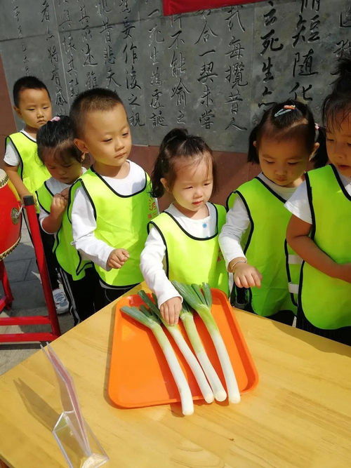 聪明伶俐的近义词，聪明伶俐对应哪4样东西