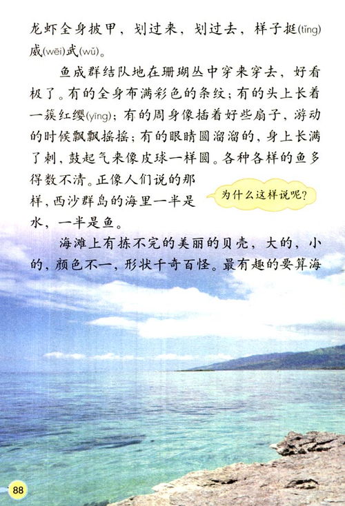 富饶的西沙群岛课文原文，富饶的西沙群岛课文笔记