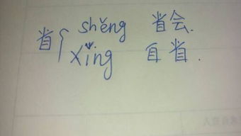 聒字读音是什么?