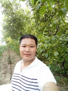 拗救怎么读，拗救是律诗中经常会出现的一种声律现象