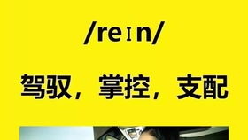 被disi是什么意思