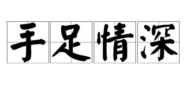 手足情深下一句是什么，手足情深打一字谜