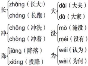 觅食是什么意思?