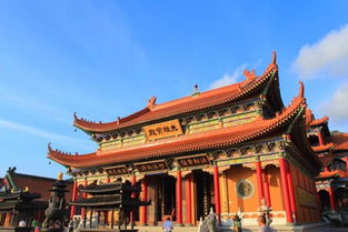 金台寺的调研目的