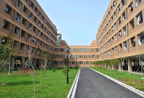 上海同济大学怎么样，同济大学怎么样就业前景排名