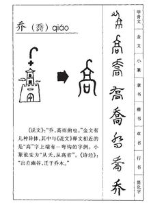 乔怎么读 乔的拼音是什么
