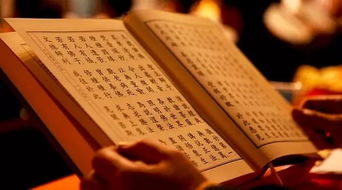 诵字的解释诵字是什么意思