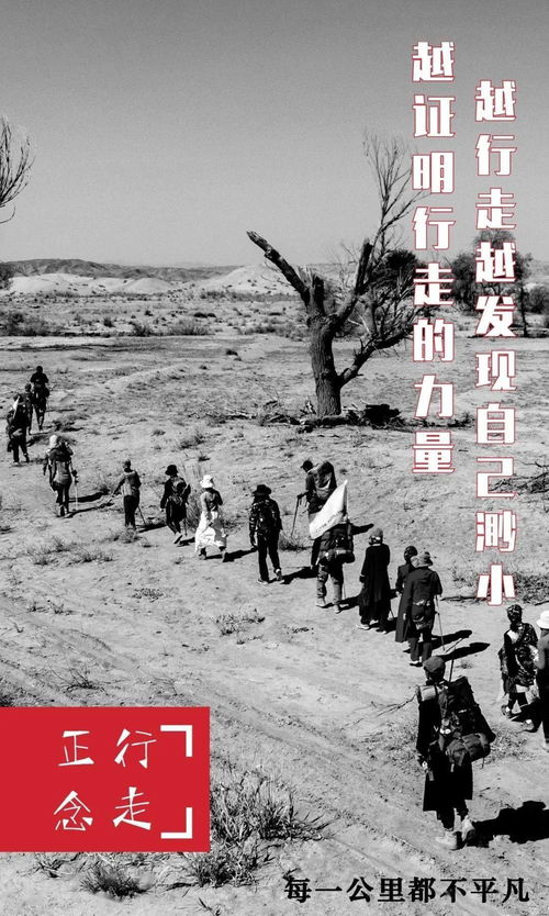 走之儿旁里面一个西念什么?