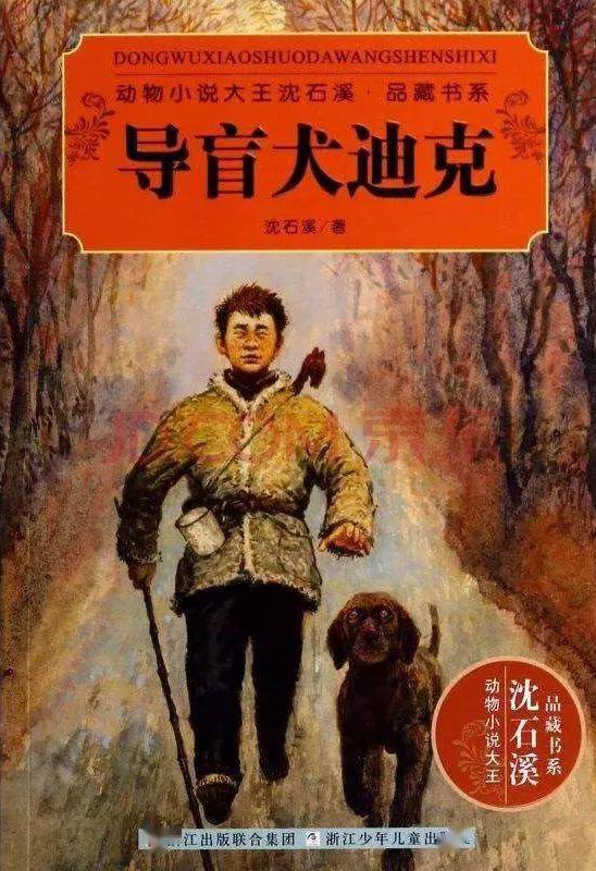西加走之底怎么读，西加走之儿是什么字