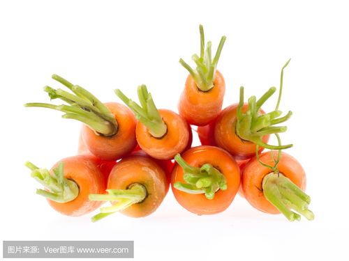 carrots怎么读?