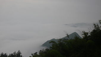 青阳辣椒，青阳县人口