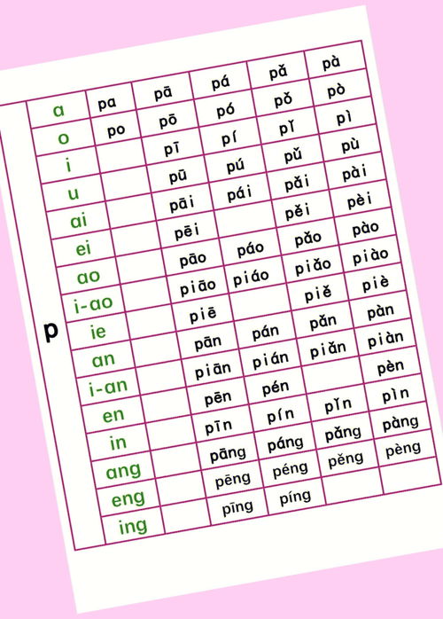 表格的拼音