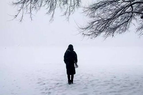 风欺雪压是什么意思